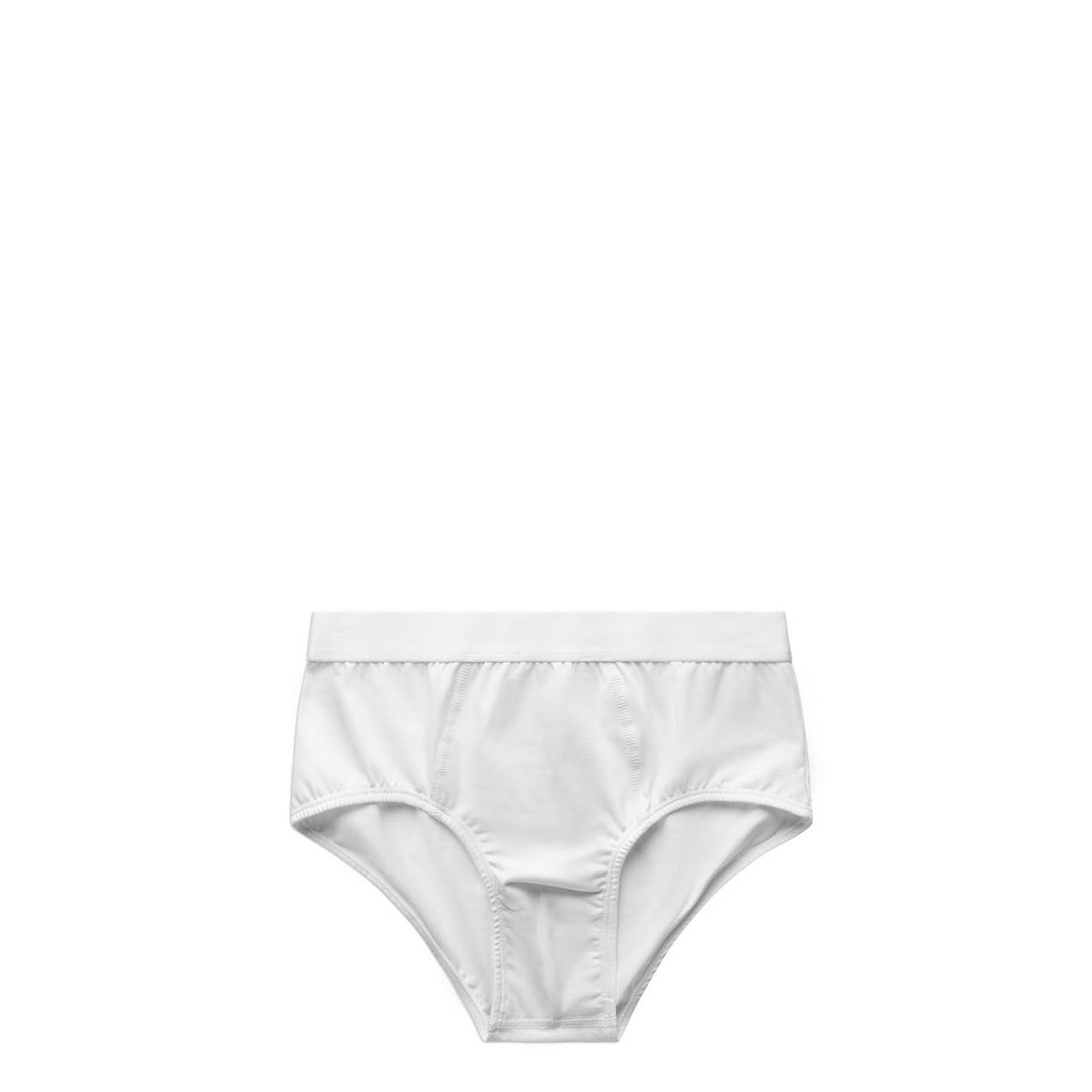 Briefs