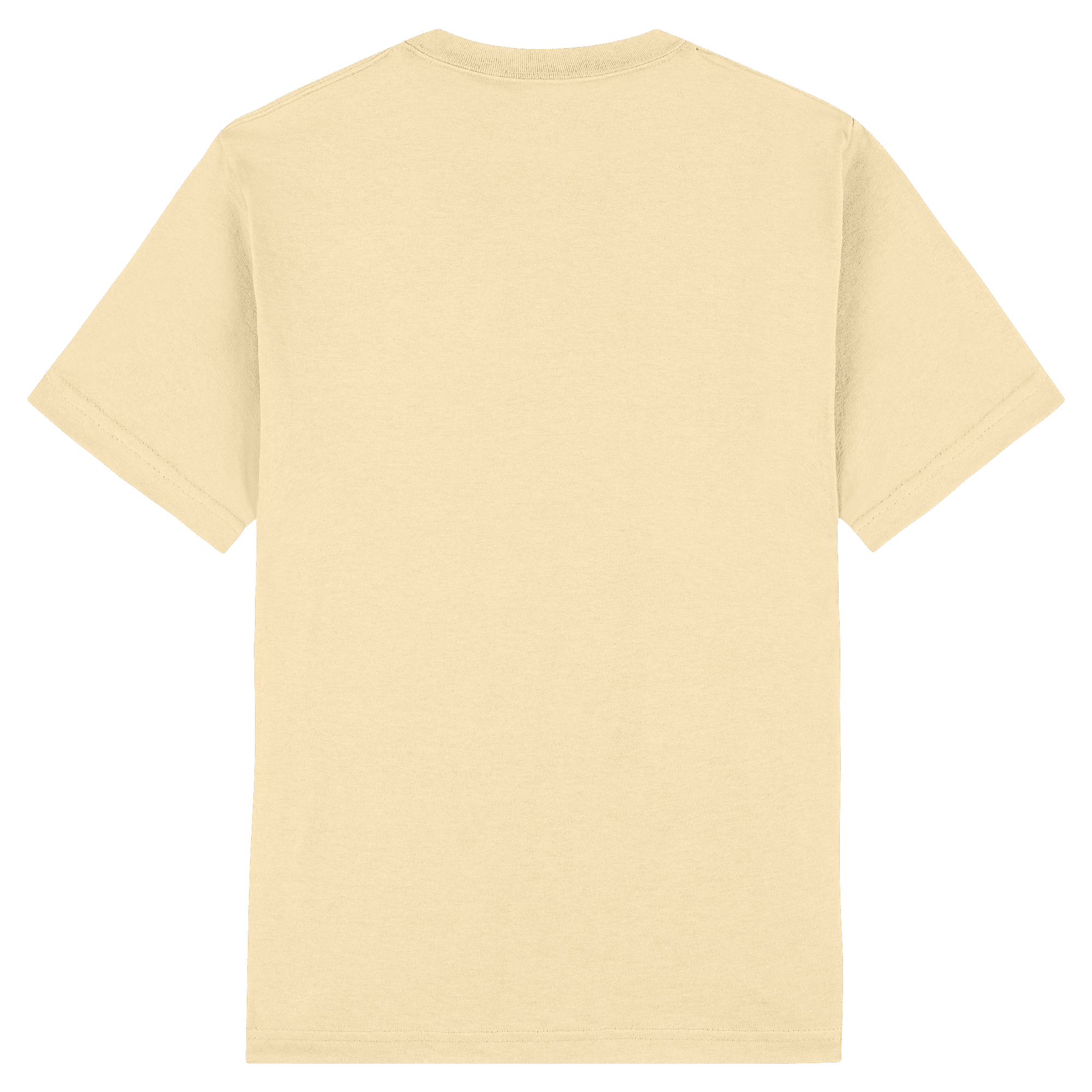 1301 American Apparel Heavyweight Cotton Unisex T-Shirt - Image 14