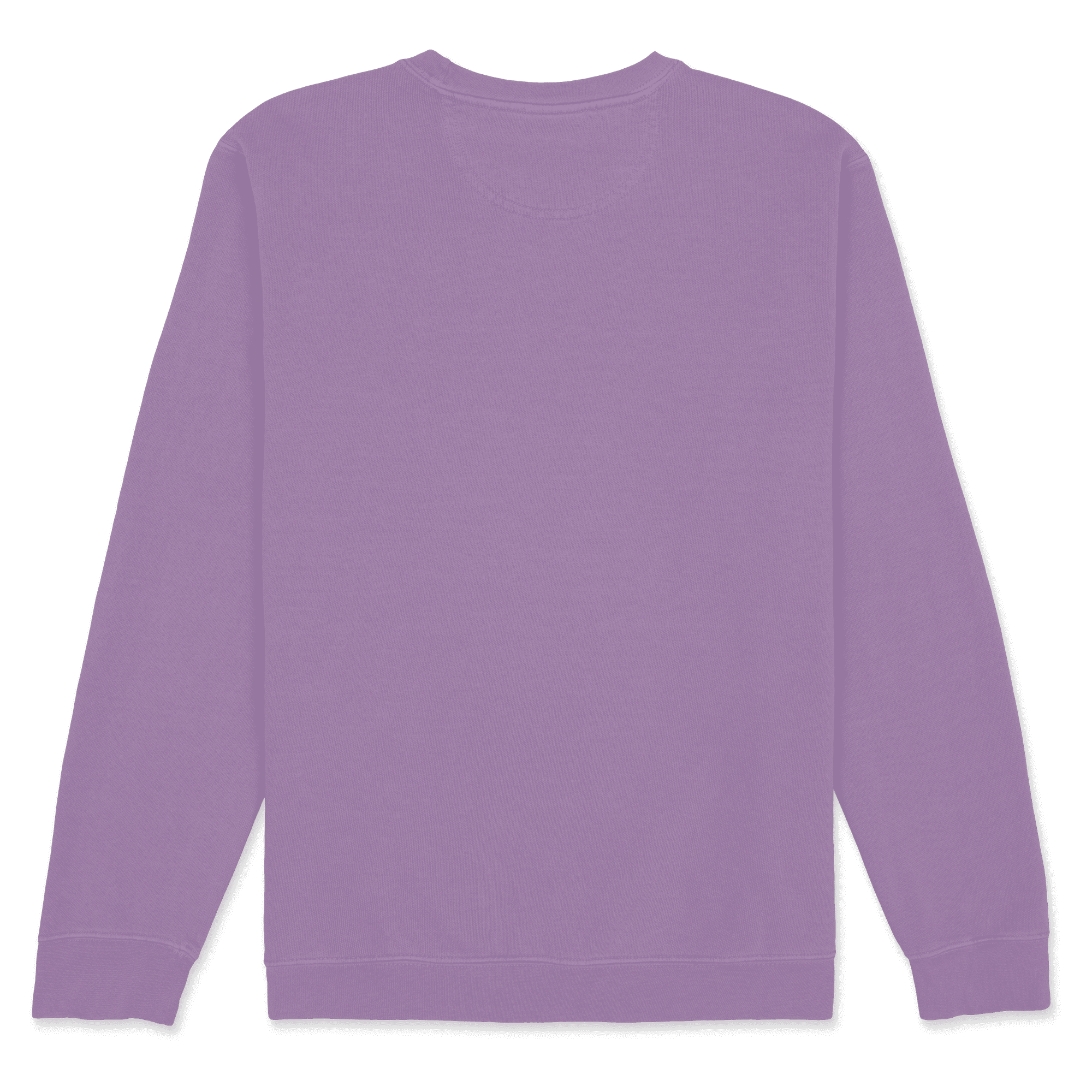 1566 Comfort Colors Adult Crewneck Sweatshirt - Image 14
