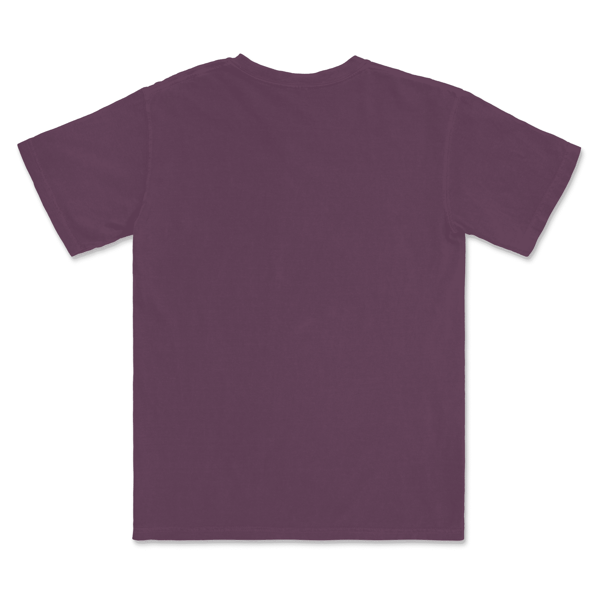 1717 Comfort Colors Adult Heavyweight T-Shirt - Image 5