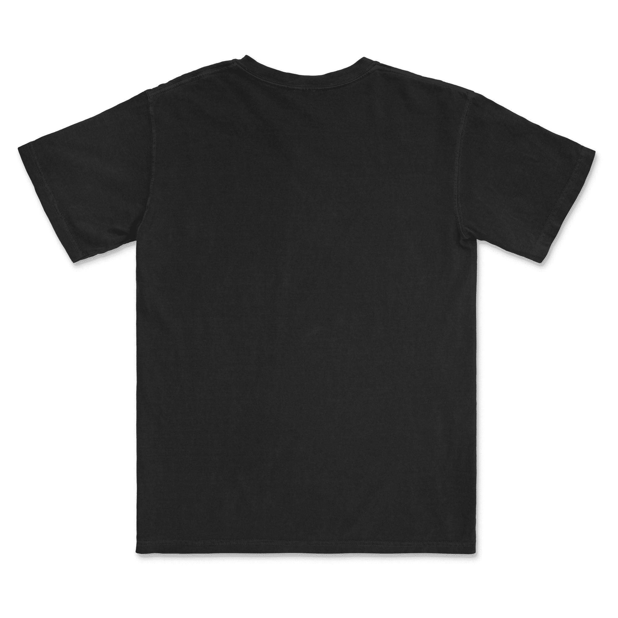 1717 Comfort Colors Adult Heavyweight T-Shirt - Image 72