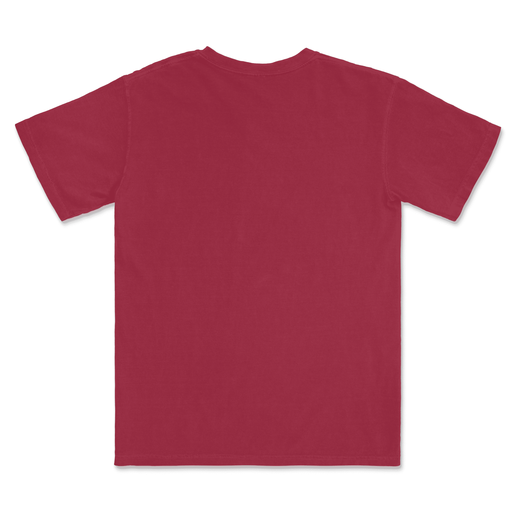 1717 Comfort Colors Adult Heavyweight T-Shirt - Image 21