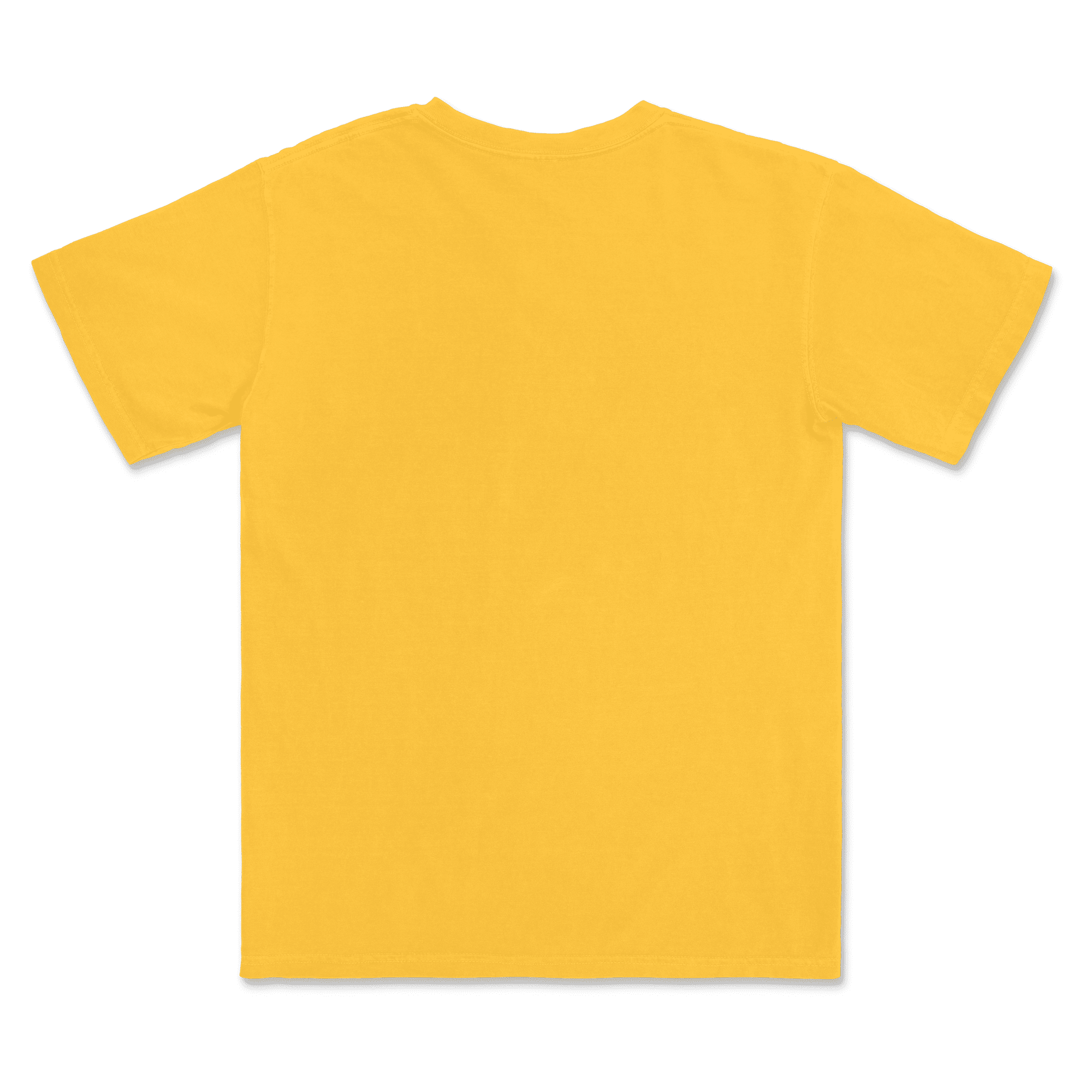 1717 Comfort Colors Adult Heavyweight T-Shirt - Image 23