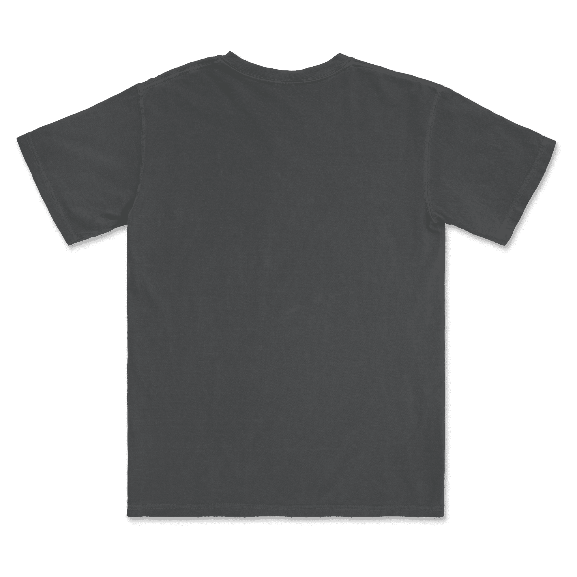 1717 Comfort Colors Adult Heavyweight T-Shirt - Image 31
