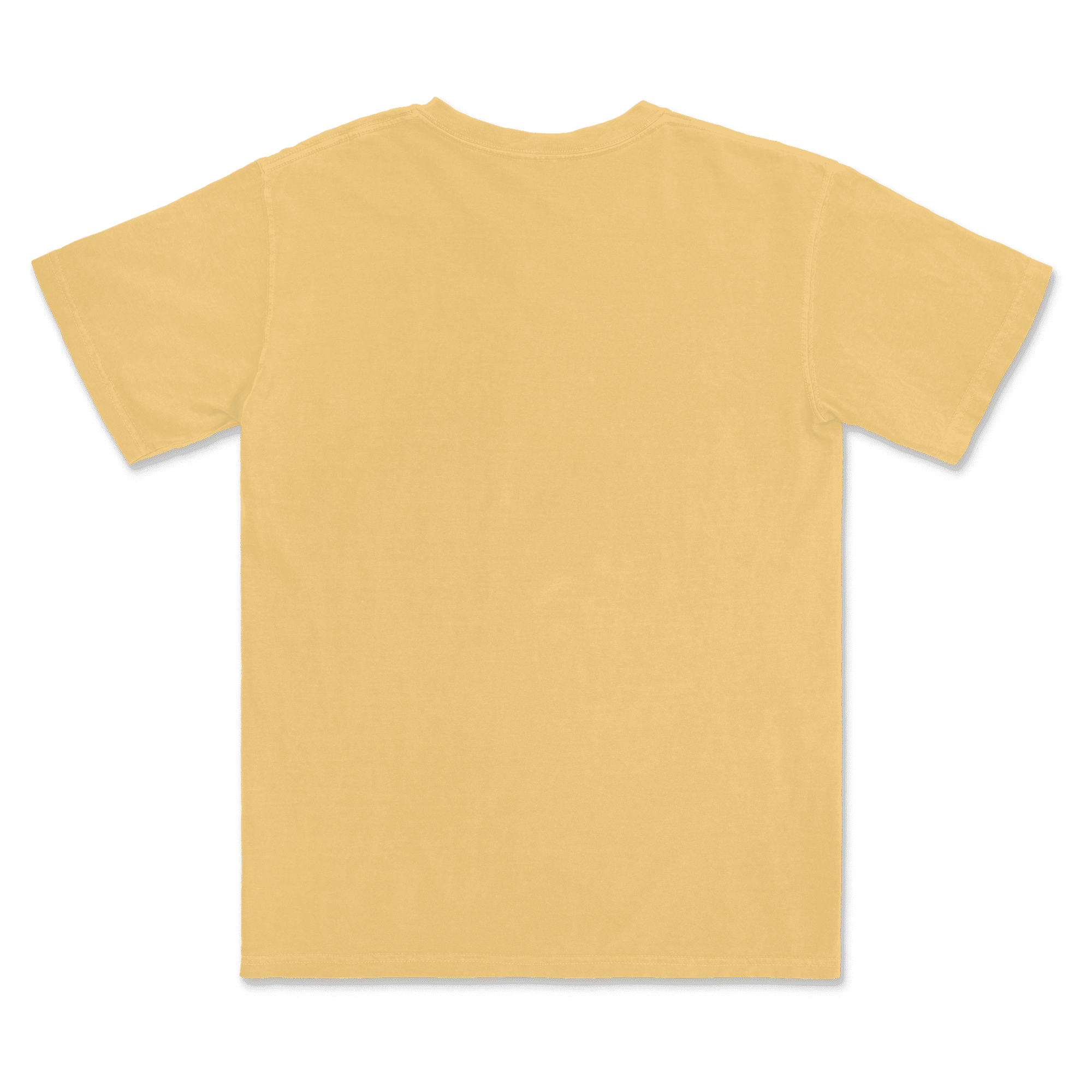 1717 Comfort Colors Adult Heavyweight T-Shirt - Image 41