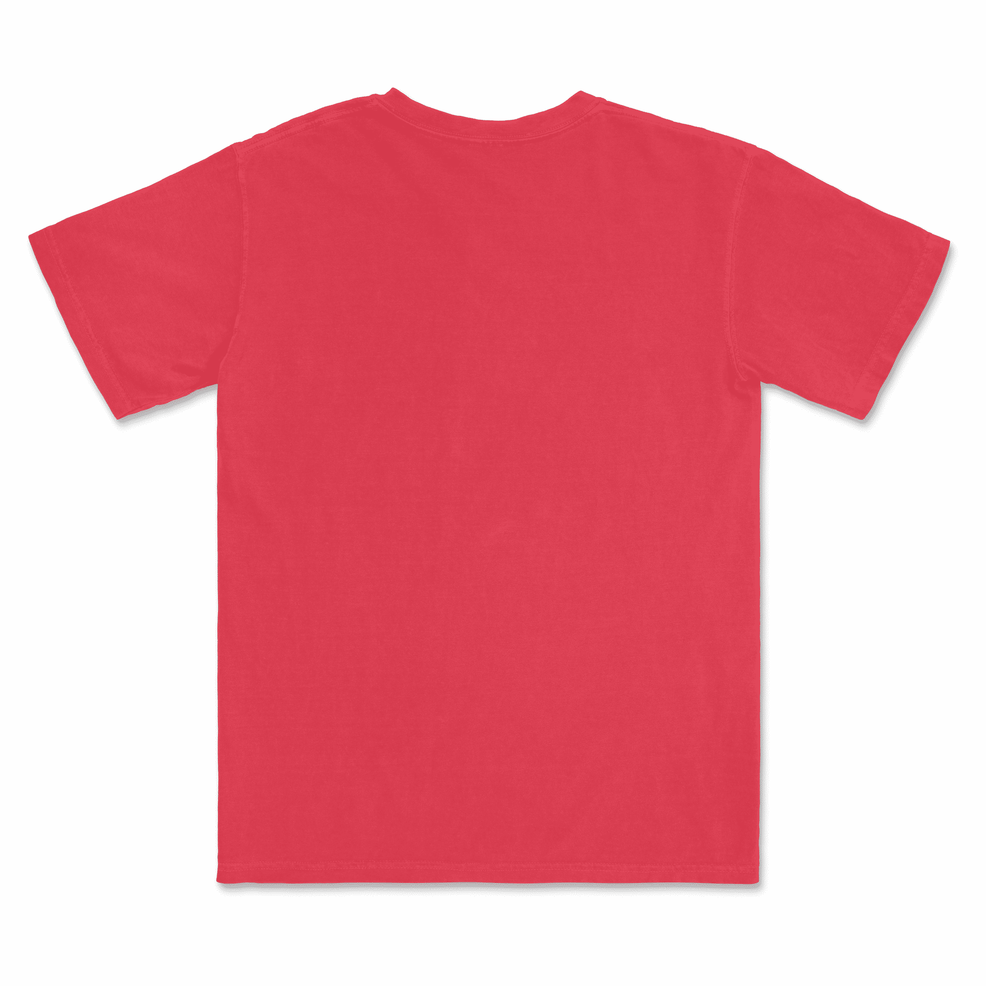 1717 Comfort Colors Adult Heavyweight T-Shirt - Image 53