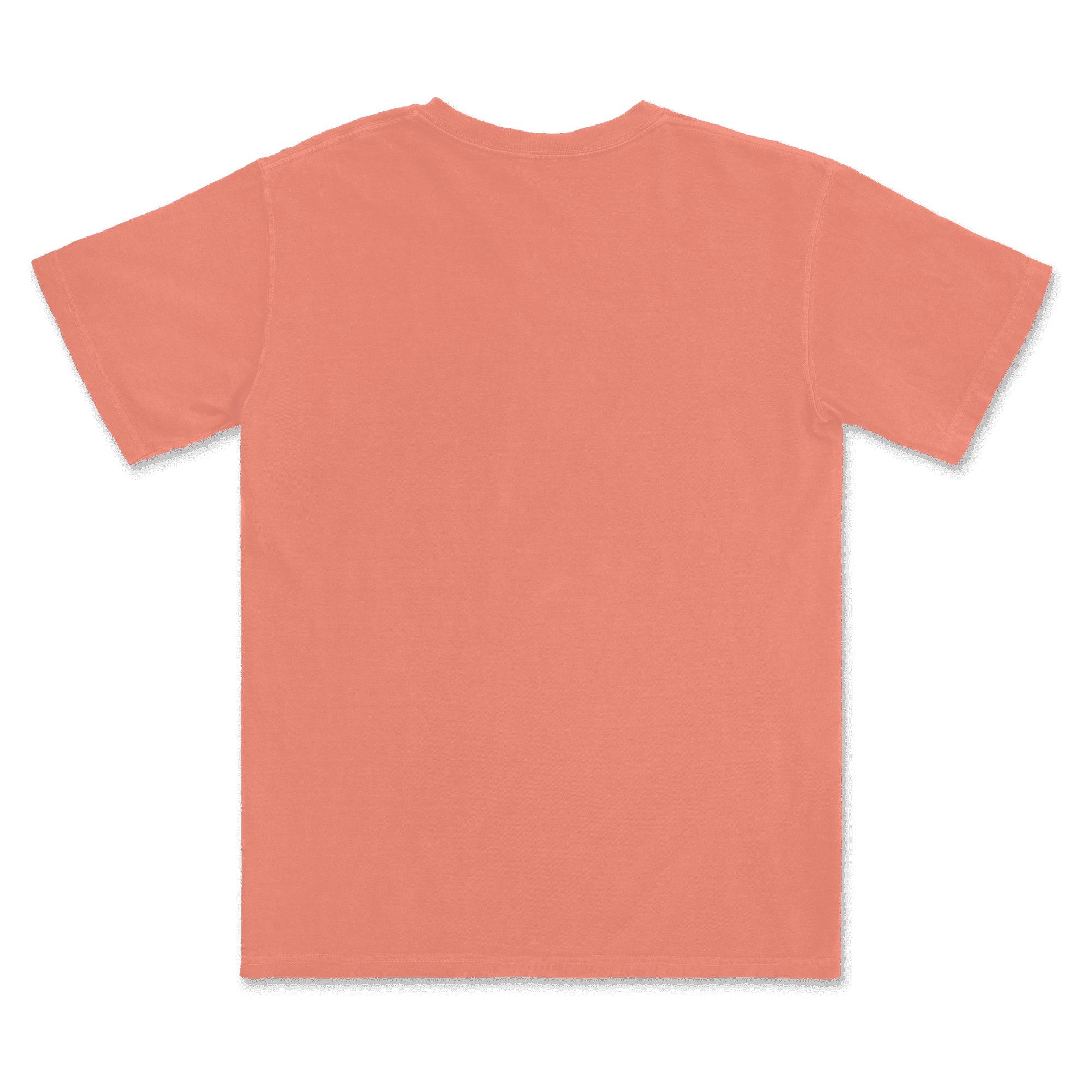 1717 Comfort Colors Adult Heavyweight T-Shirt - Image 59