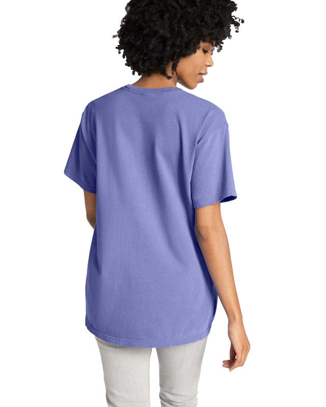 1717 Comfort Colors Adult Heavyweight T-Shirt - Image 63