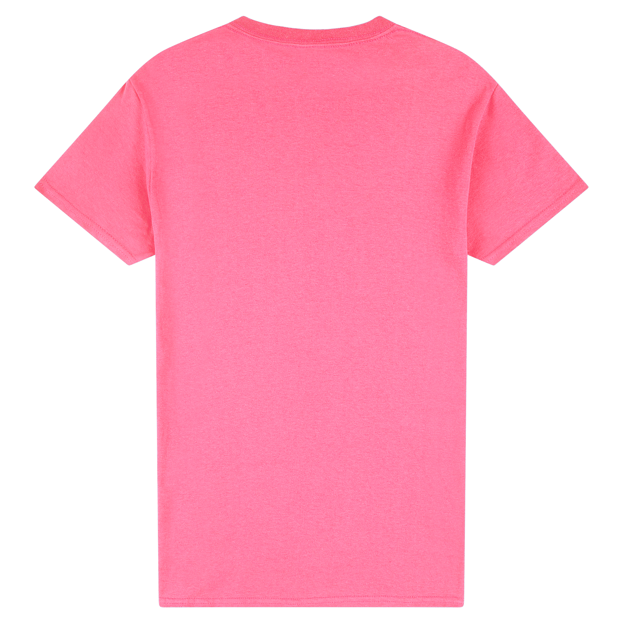 2000 Gildan Ultra Cotton Adult T-Shirt - Image 4