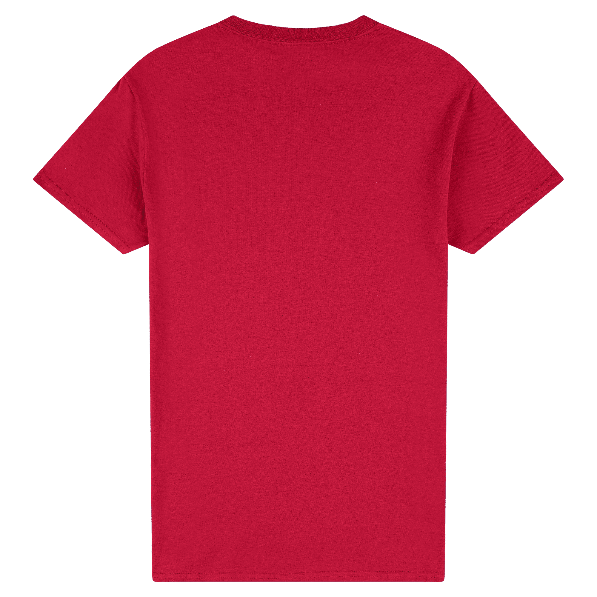 2000 Gildan Ultra Cotton Adult T-Shirt - Image 10