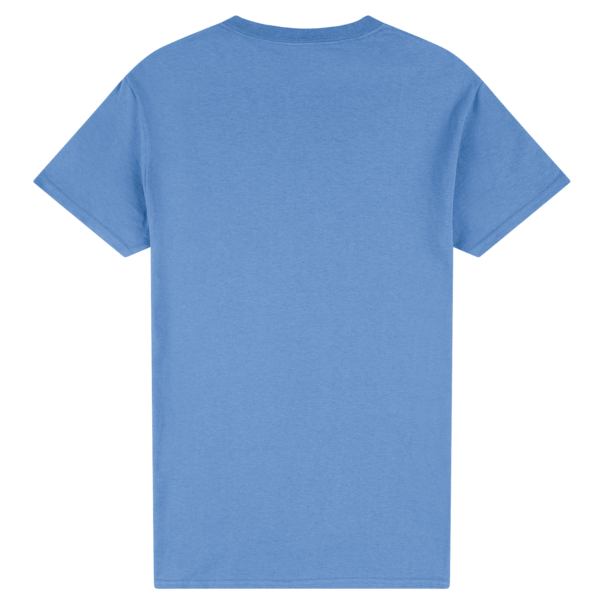 2000 Gildan Ultra Cotton Adult T-Shirt - Image 18
