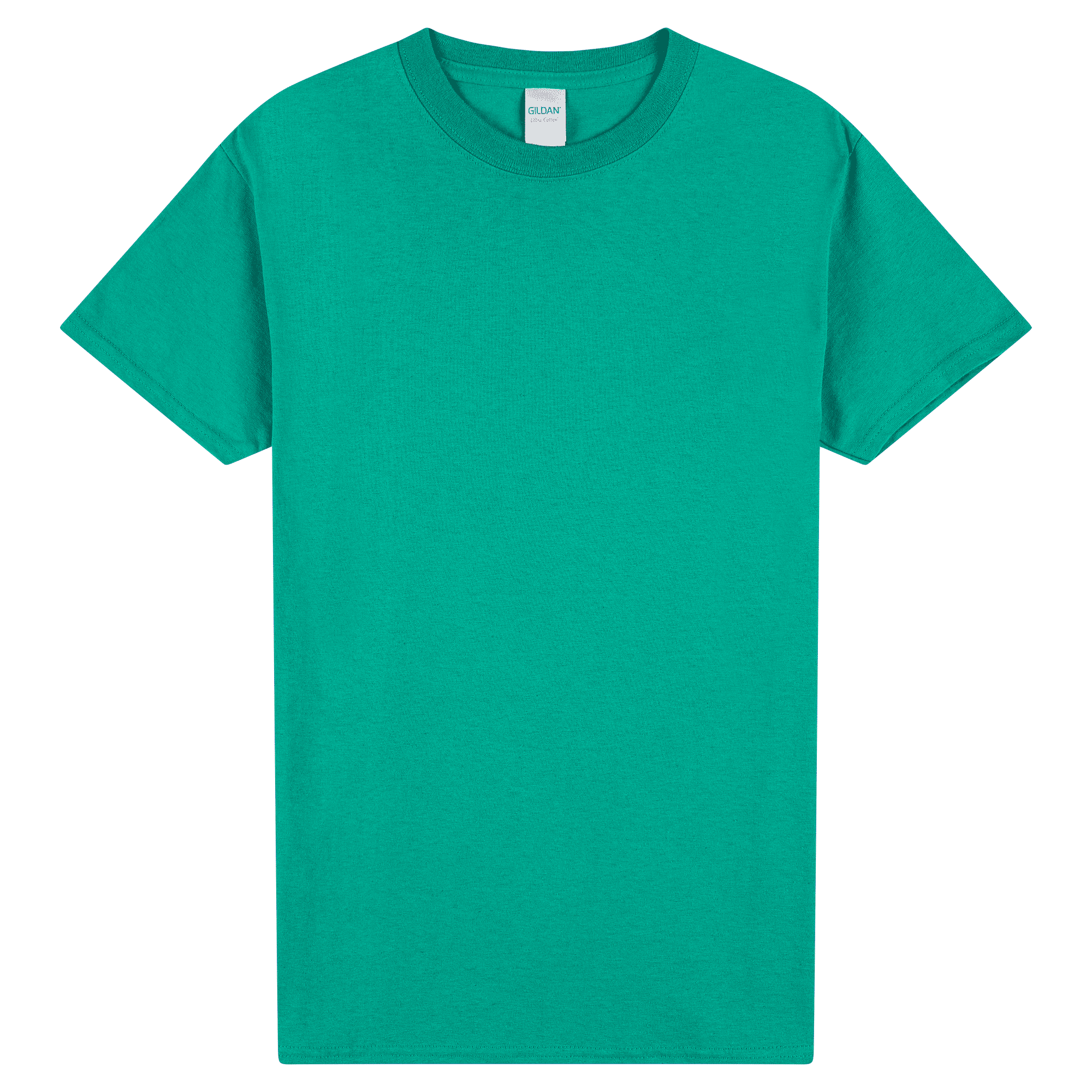 2000 Gildan Ultra Cotton Adult T-Shirt - Image 19