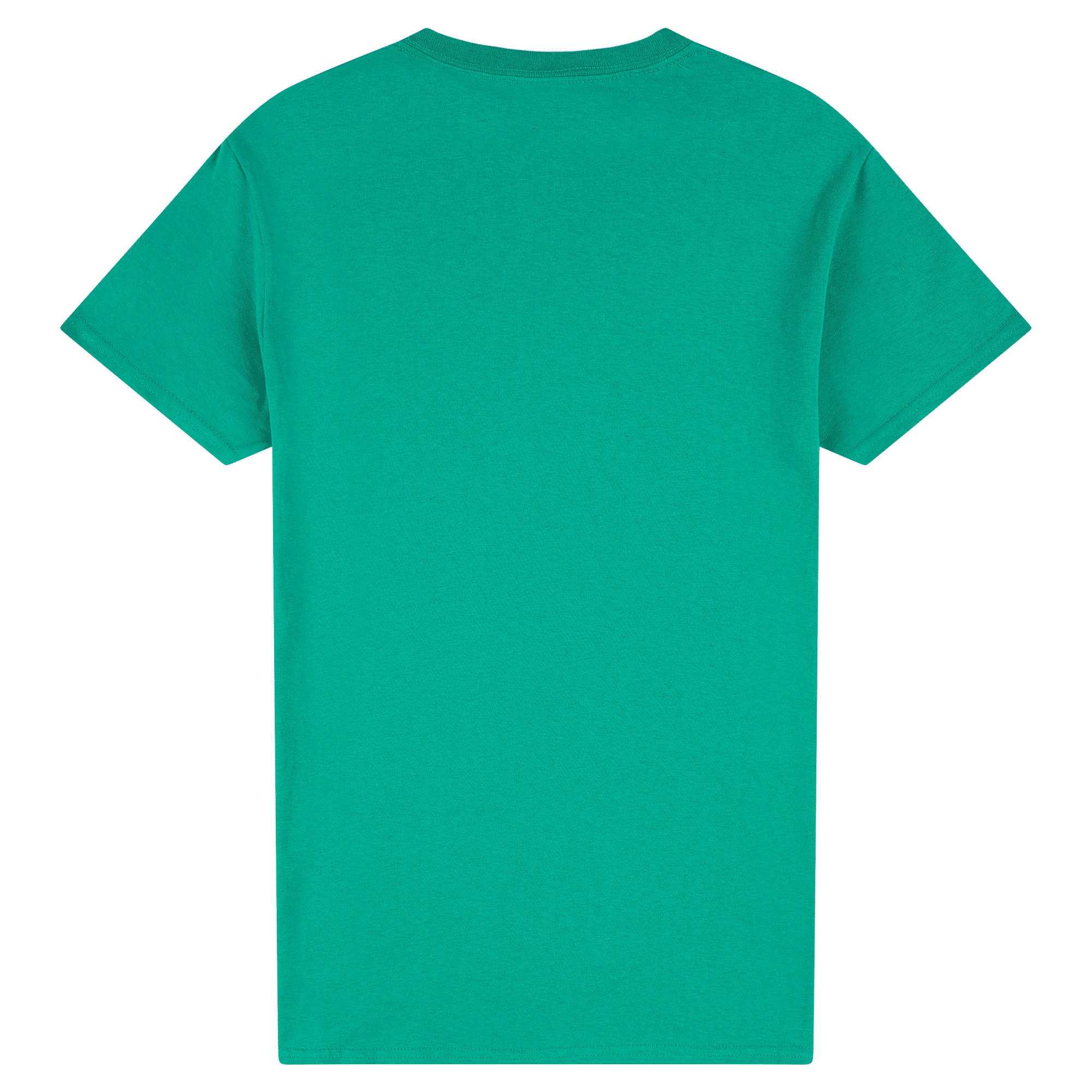 2000 Gildan Ultra Cotton Adult T-Shirt - Image 20