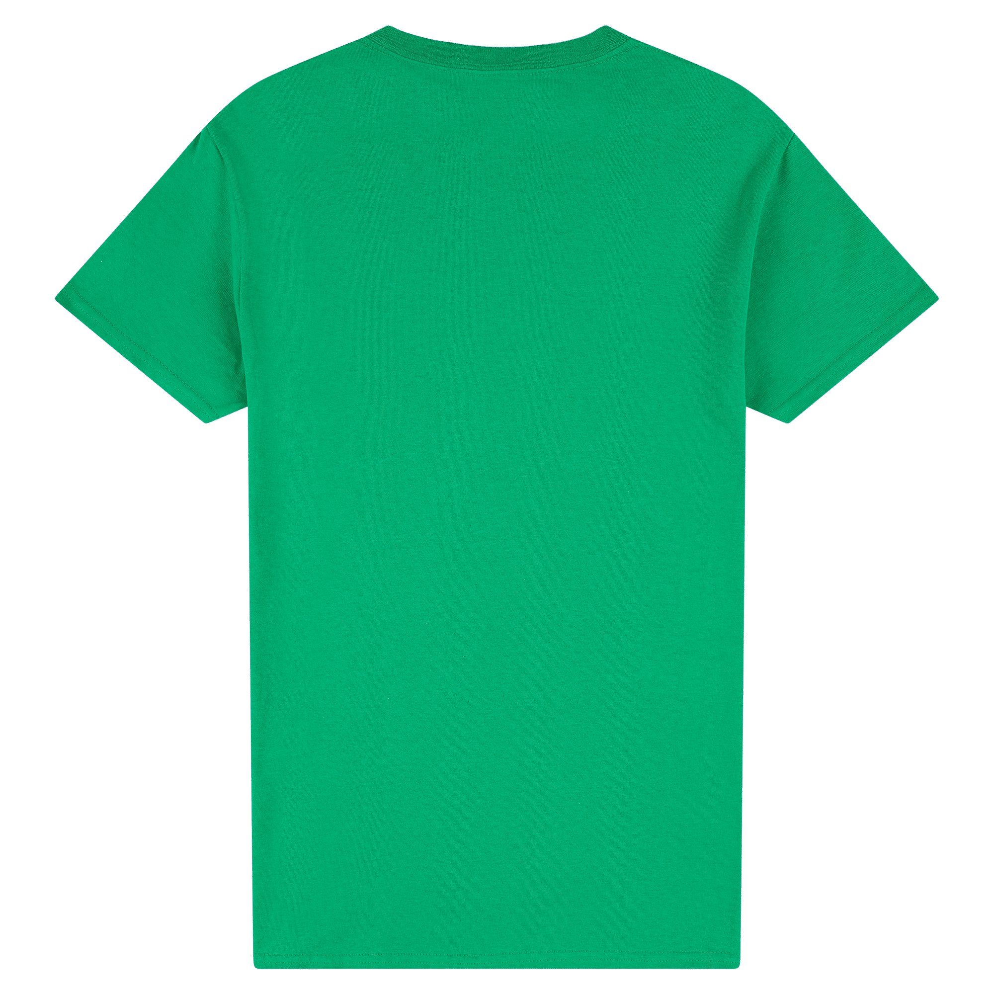 2000 Gildan Ultra Cotton Adult T-Shirt - Image 22