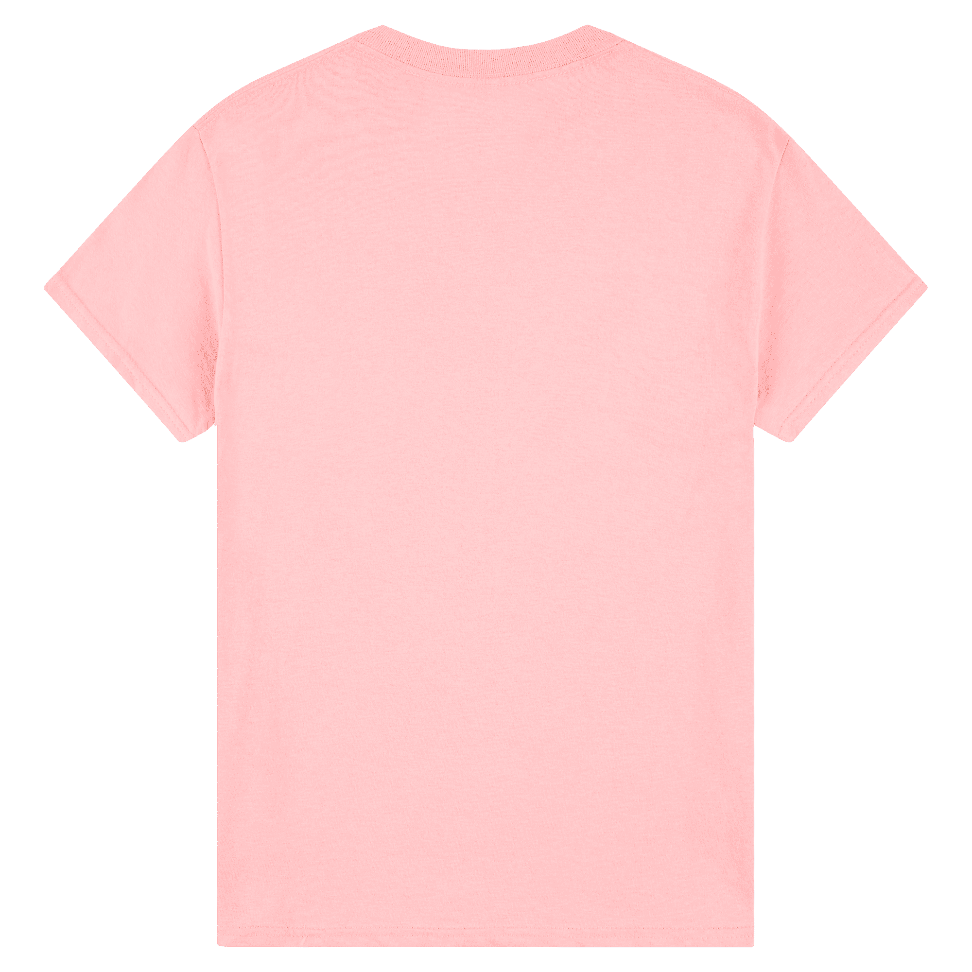 2000 Gildan Ultra Cotton Adult T-Shirt - Image 24