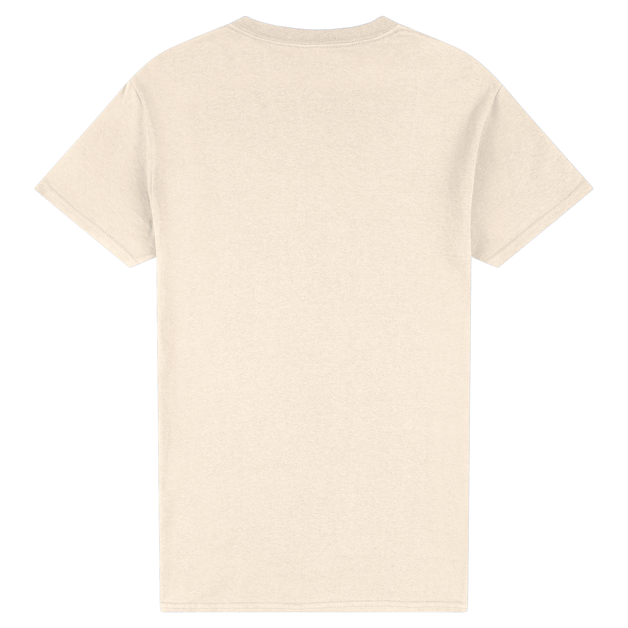 2000 Gildan Ultra Cotton Adult T-Shirt - Image 28