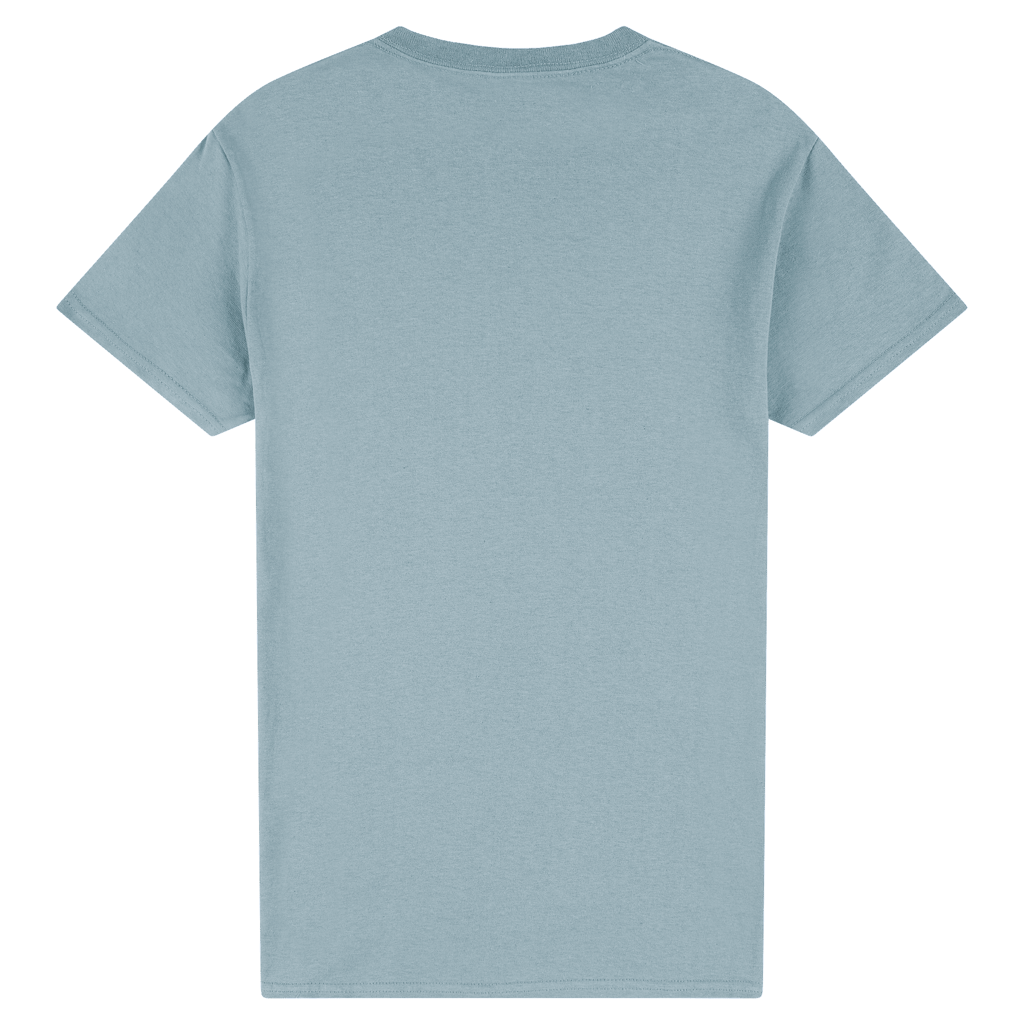 2000 Gildan Ultra Cotton Adult T-Shirt - Image 38