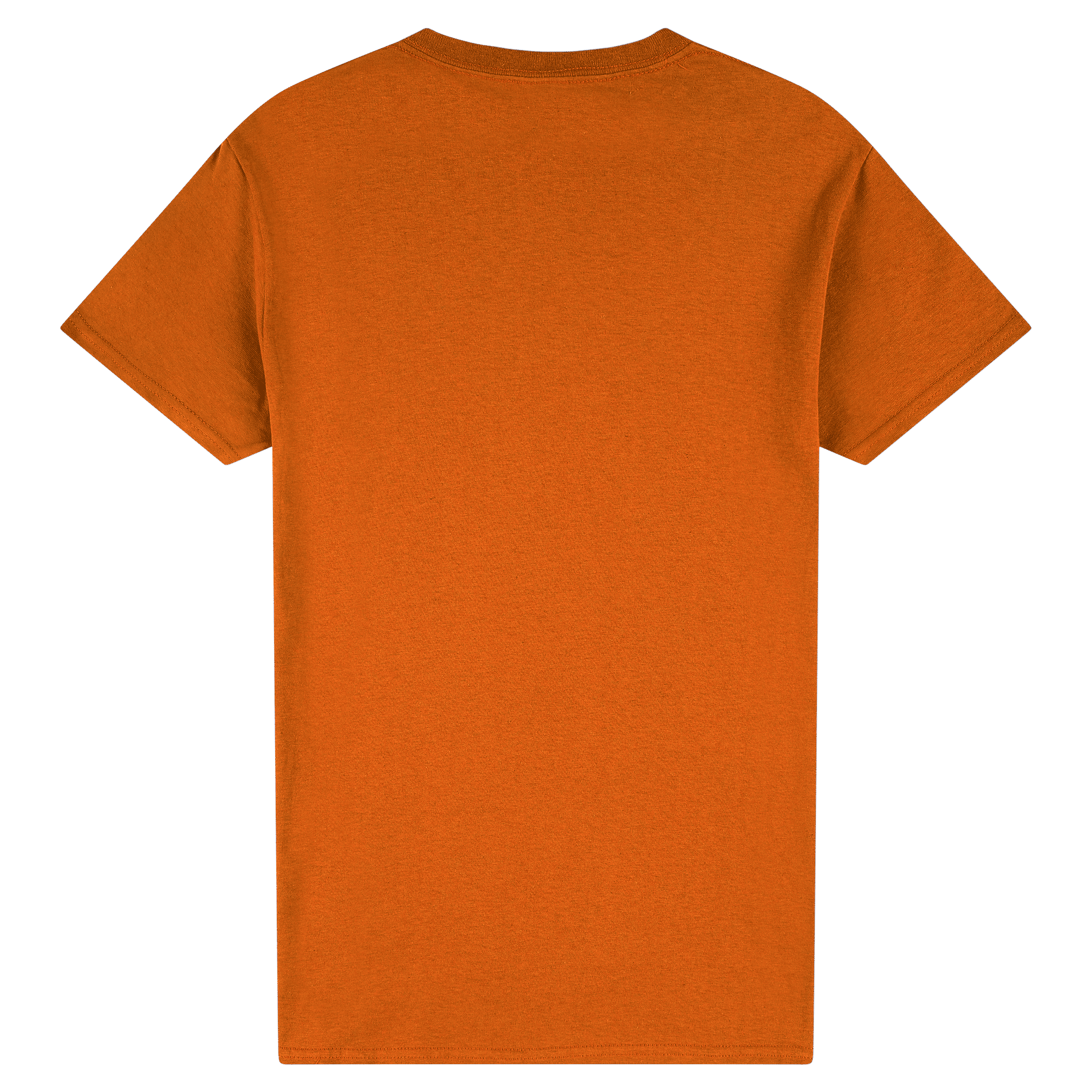 2000 Gildan Ultra Cotton Adult T-Shirt - Image 44
