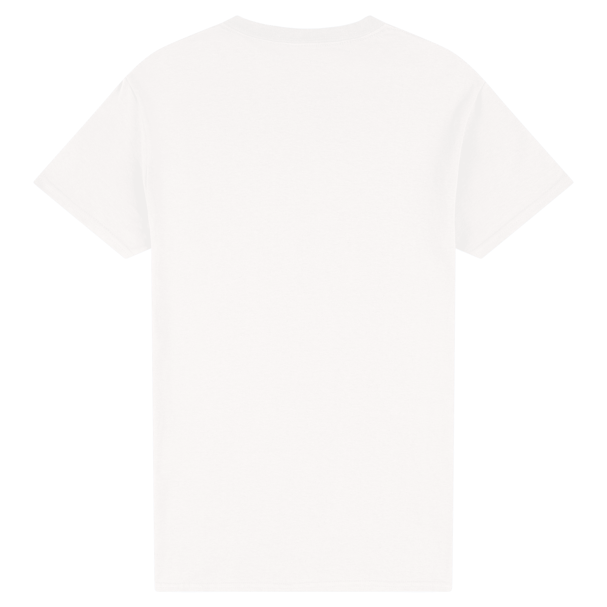 2000 Gildan Ultra Cotton Adult T-Shirt - Image 46