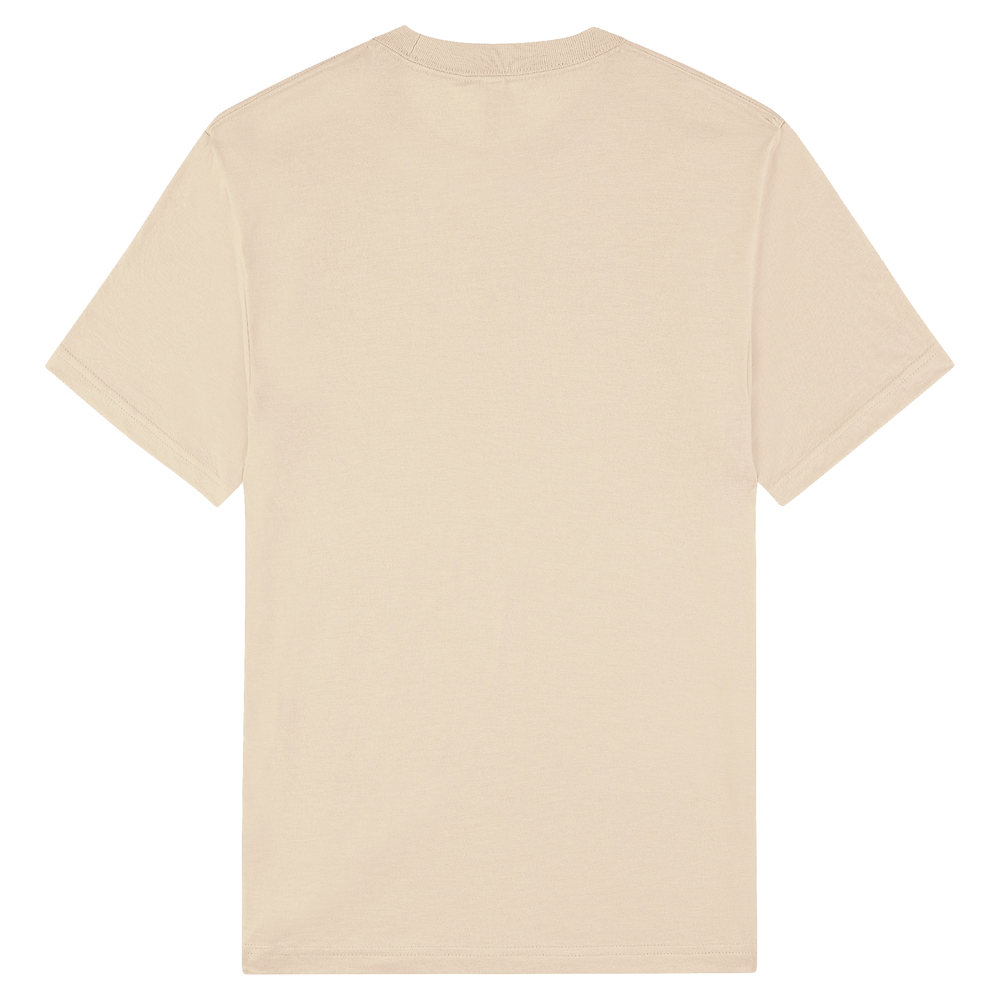2001CVC American Apparel Unisex CVC Short Sleeve T-Shirt - Image 9