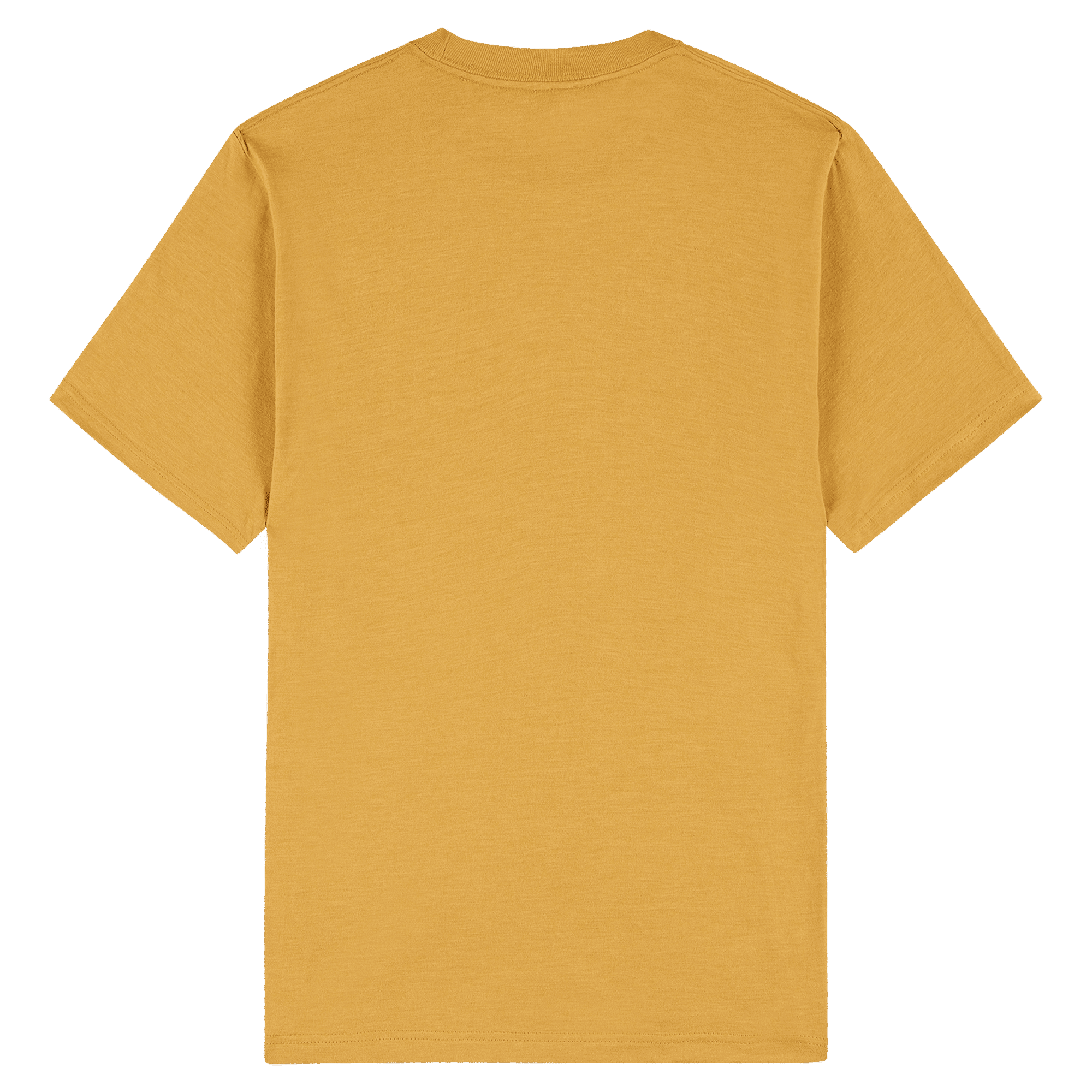 2001CVC American Apparel Unisex CVC Short Sleeve T-Shirt - Image 15