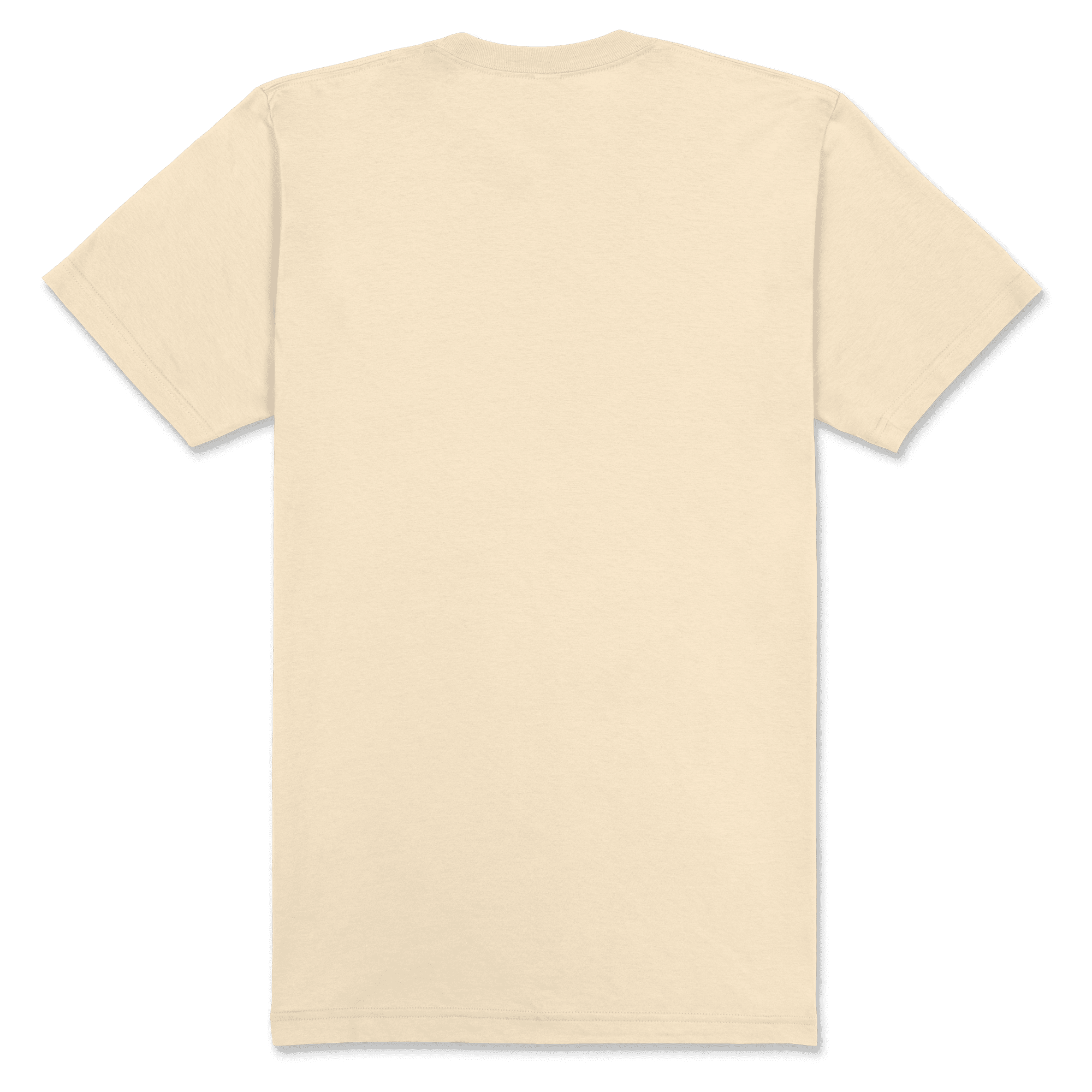 2001 American Apparel Unisex Fine Jersey Short Sleeve T-Shirt - Image 10