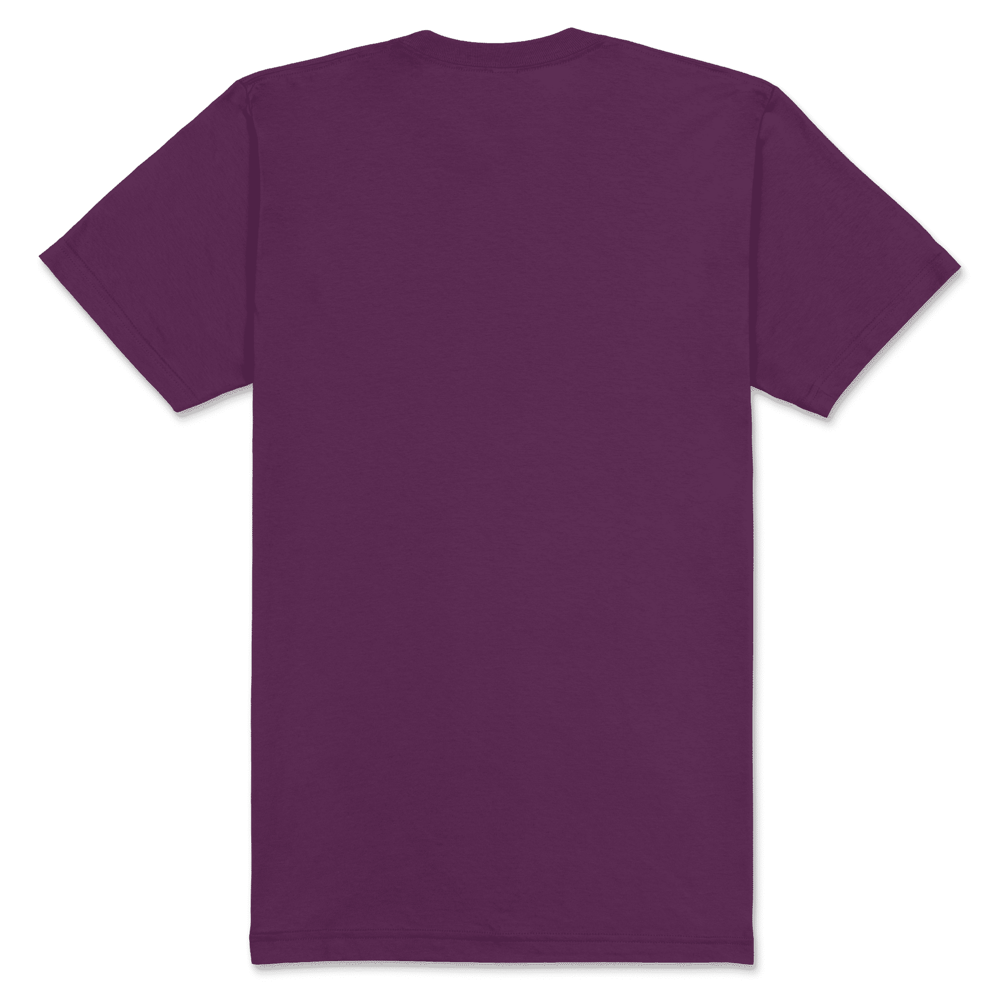 2001 American Apparel Unisex Fine Jersey Short Sleeve T-Shirt - Image 14
