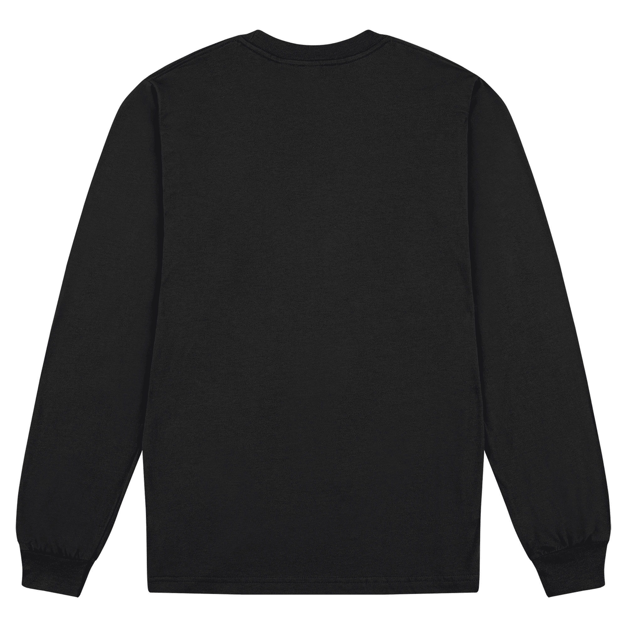 2007W American Apparel Cotton Long Sleeve Fine Jersey T-shirt - Image 11