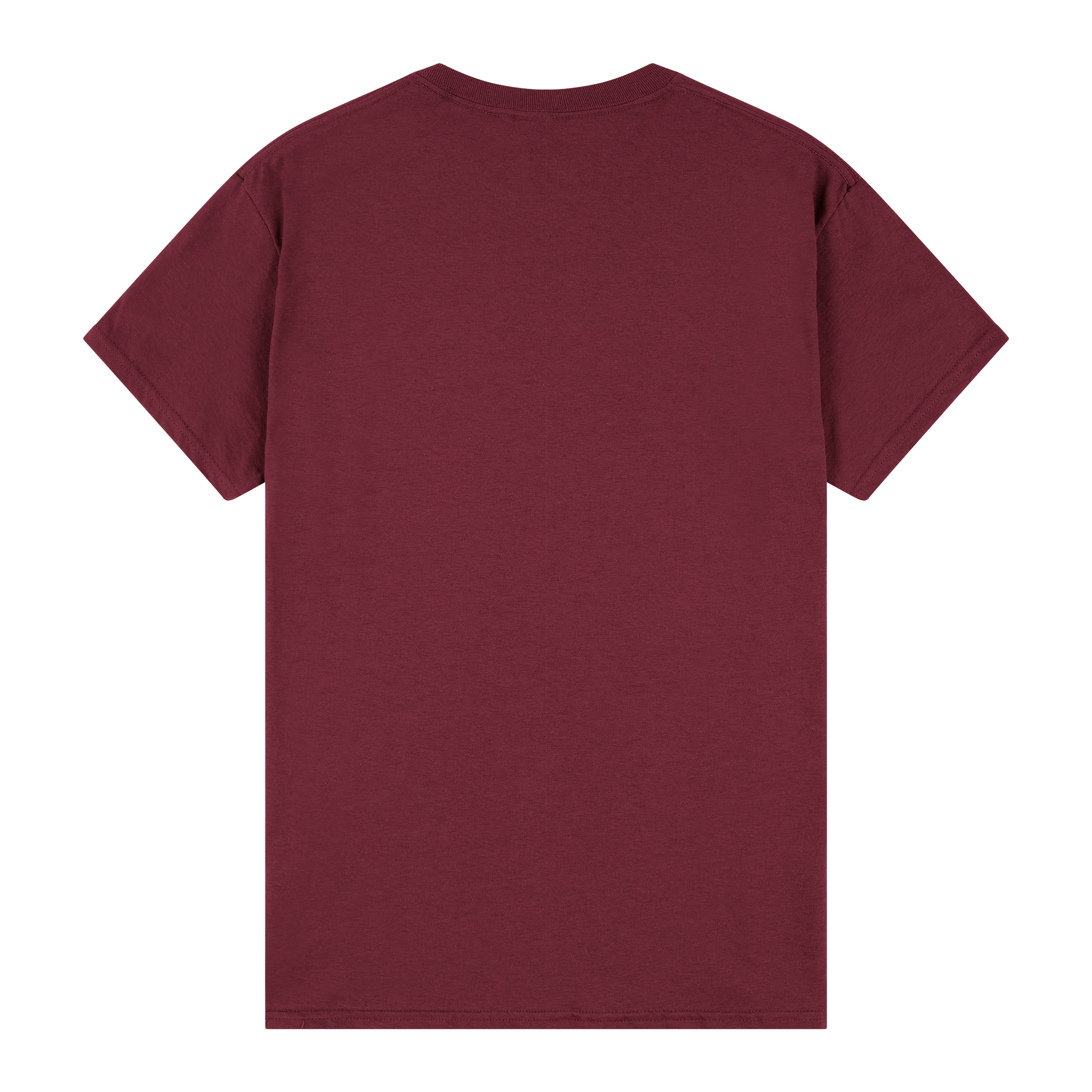 5000 Gildan Heavy Cotton Adult T-Shirt - Image 23