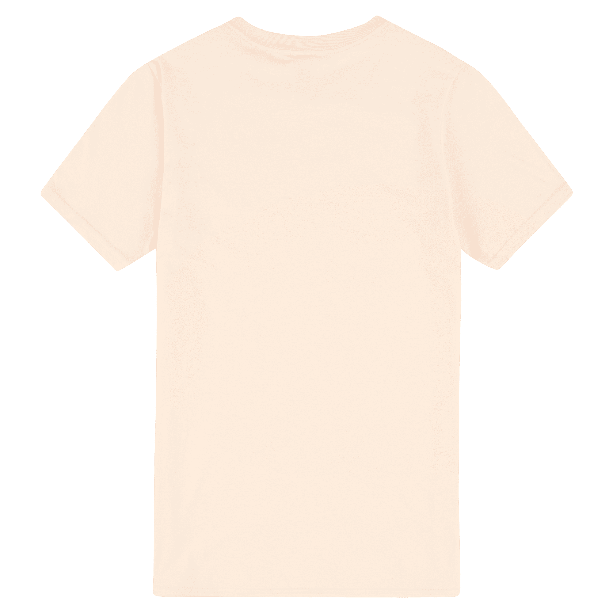 64000 Gildan Softstyle Adult T-Shirt - Image 47