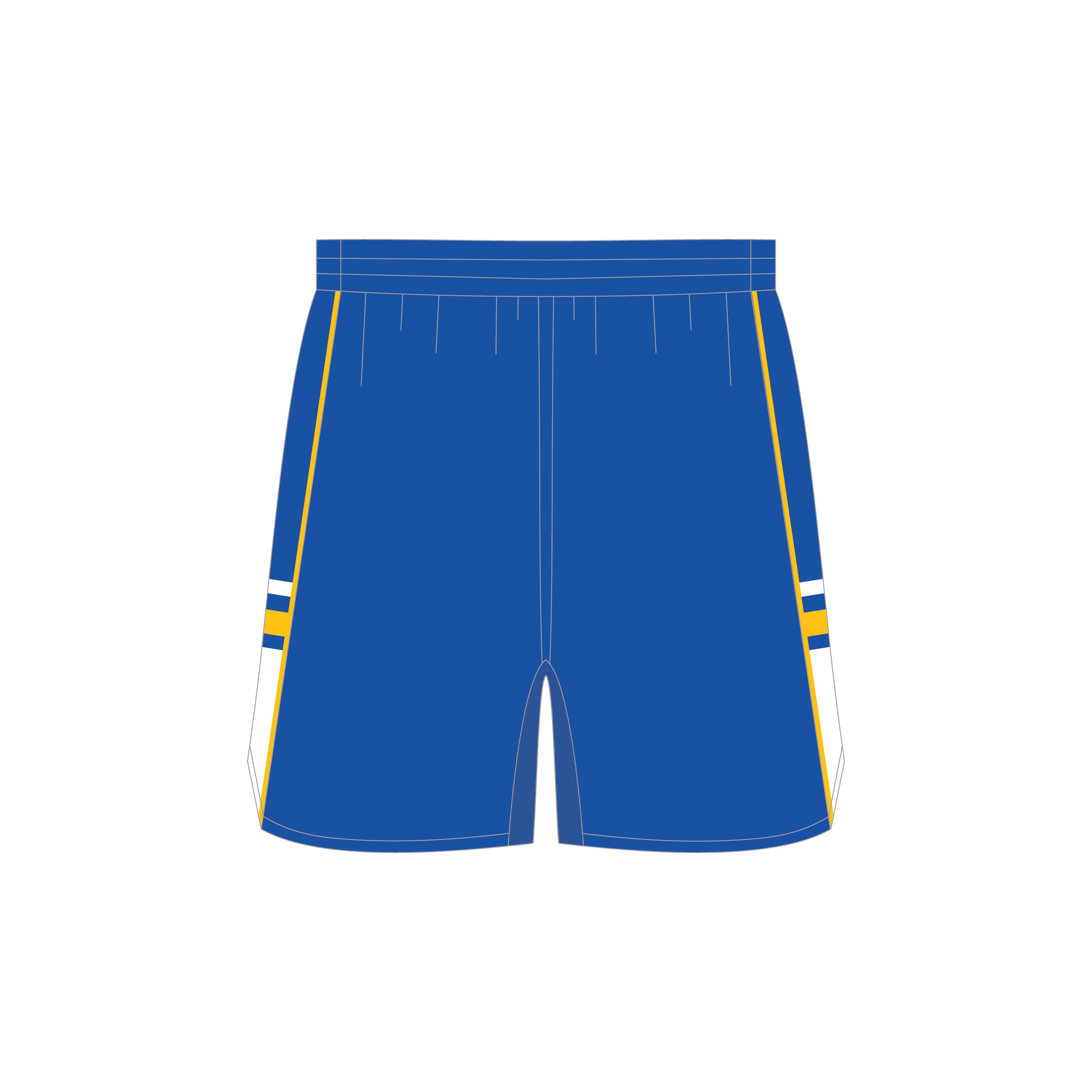 Basketball Shorts Elite - Image 3