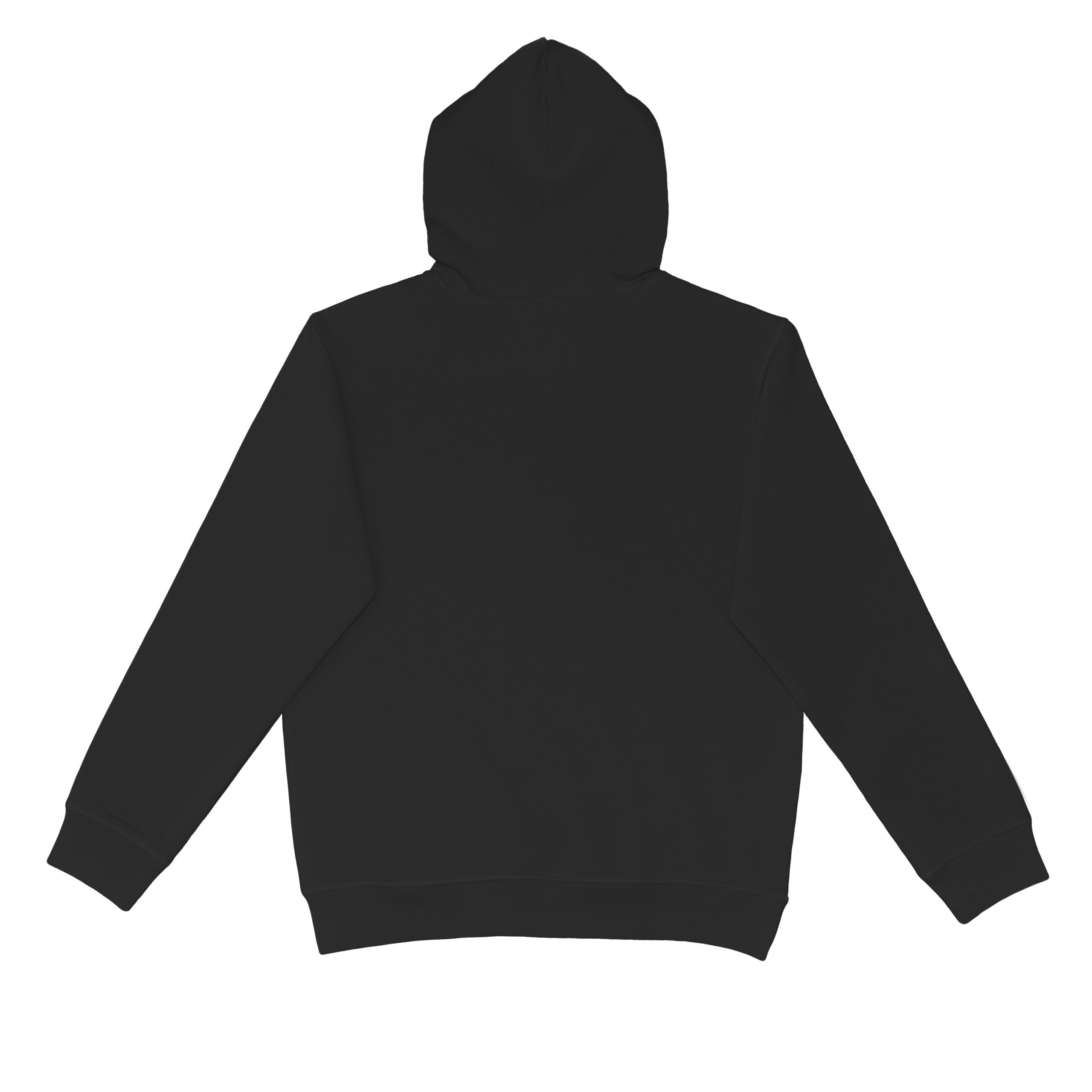 UCPH320 Urban Collab Adult The Broad Pocketless Hoodie - Image 5